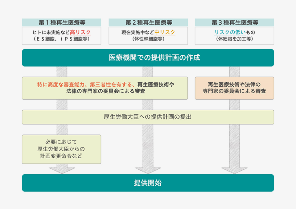 リスクに応じた再生医療等安全性確保法の手順